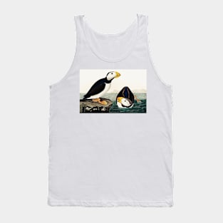 Bird of America  Bird, bird lover, america, beautiful  Public domain painting by John James Audubon Tank Top